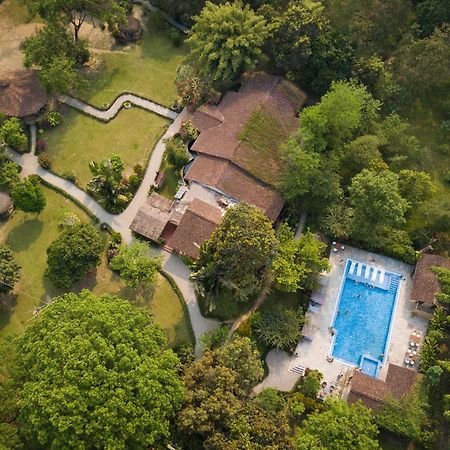 Green Mansions Jungle Resort Sauraha Esterno foto