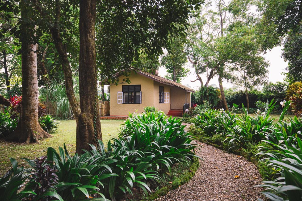 Green Mansions Jungle Resort Sauraha Esterno foto
