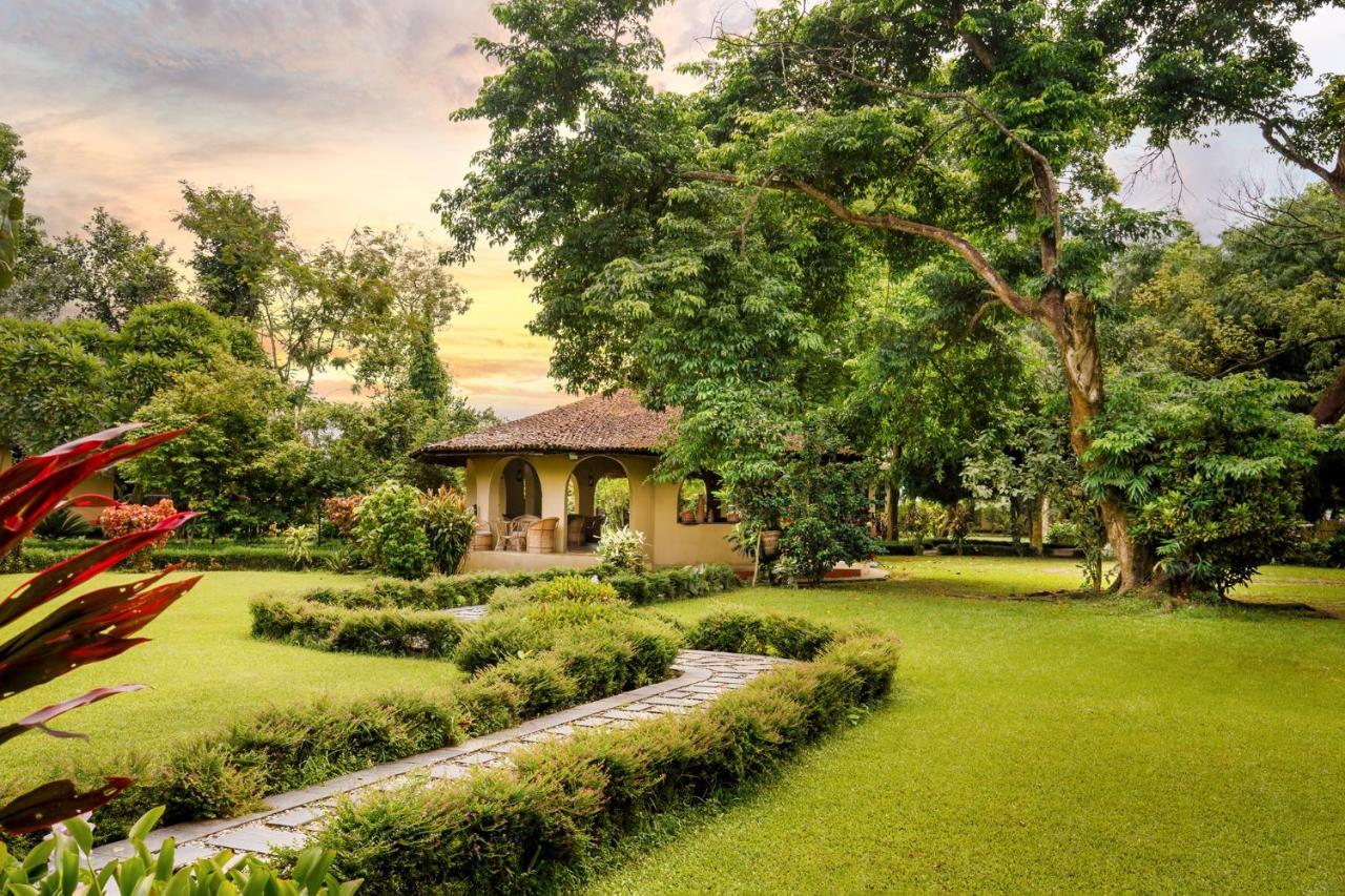 Green Mansions Jungle Resort Sauraha Esterno foto