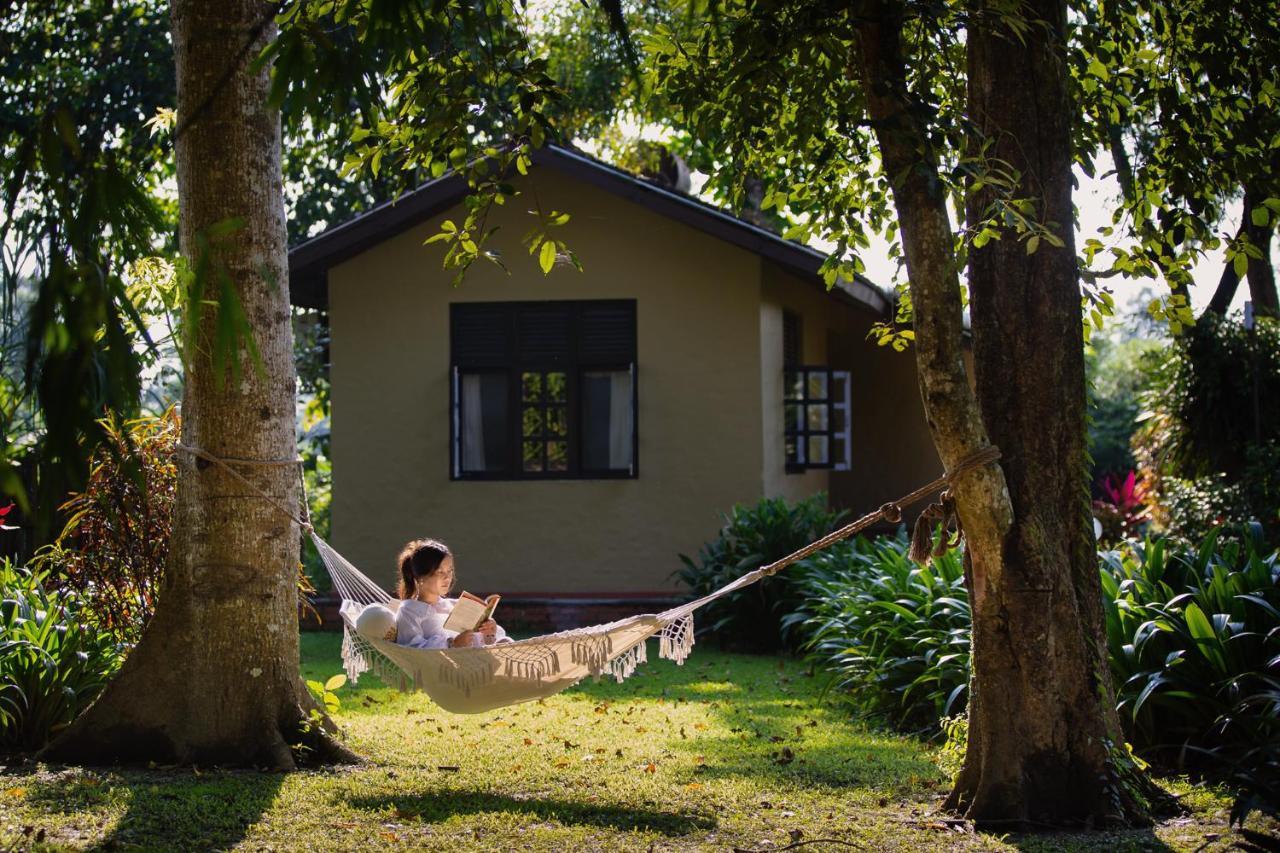 Green Mansions Jungle Resort Sauraha Esterno foto