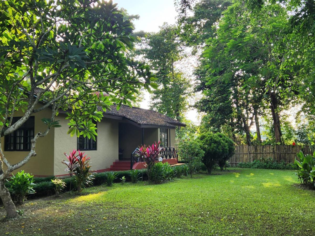 Green Mansions Jungle Resort Sauraha Esterno foto