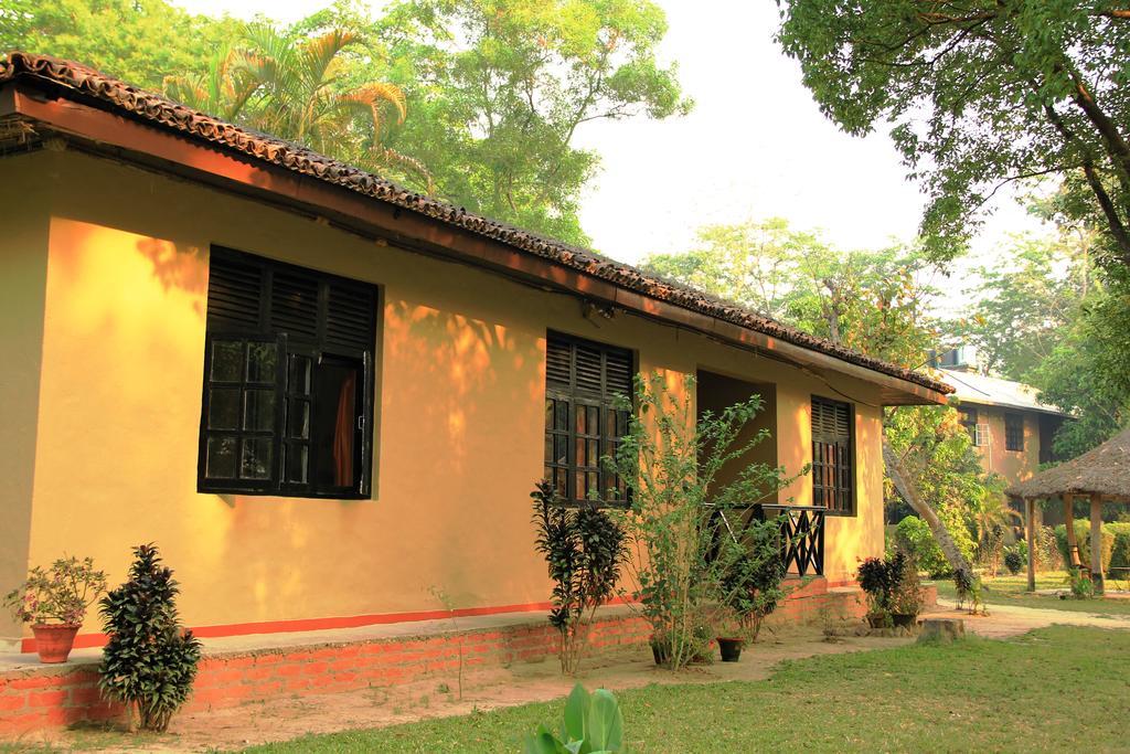 Green Mansions Jungle Resort Sauraha Esterno foto