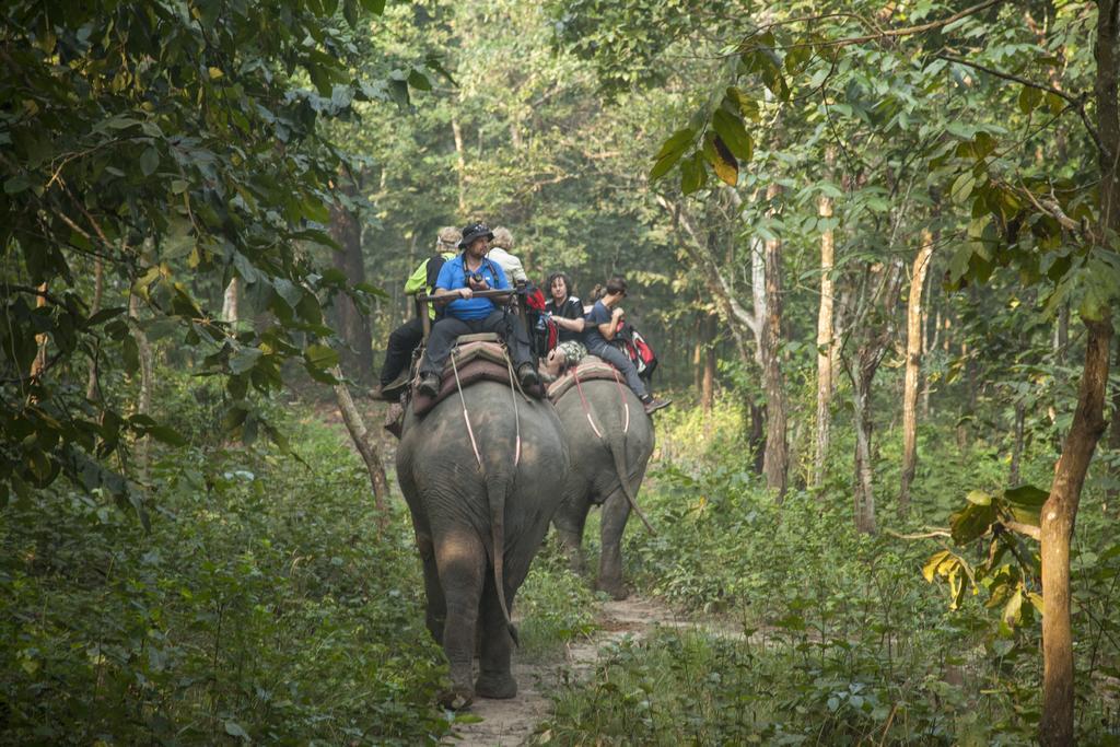 Green Mansions Jungle Resort Sauraha Esterno foto