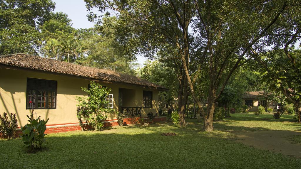 Green Mansions Jungle Resort Sauraha Esterno foto