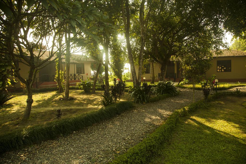 Green Mansions Jungle Resort Sauraha Esterno foto