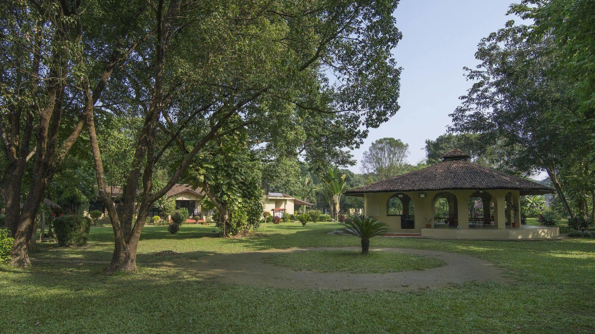 Green Mansions Jungle Resort Sauraha Esterno foto