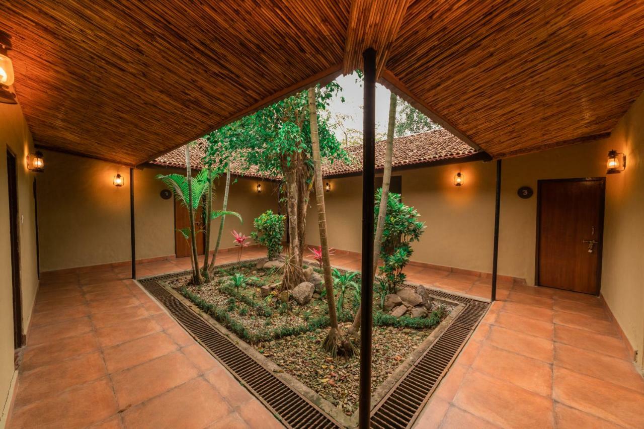 Green Mansions Jungle Resort Sauraha Esterno foto